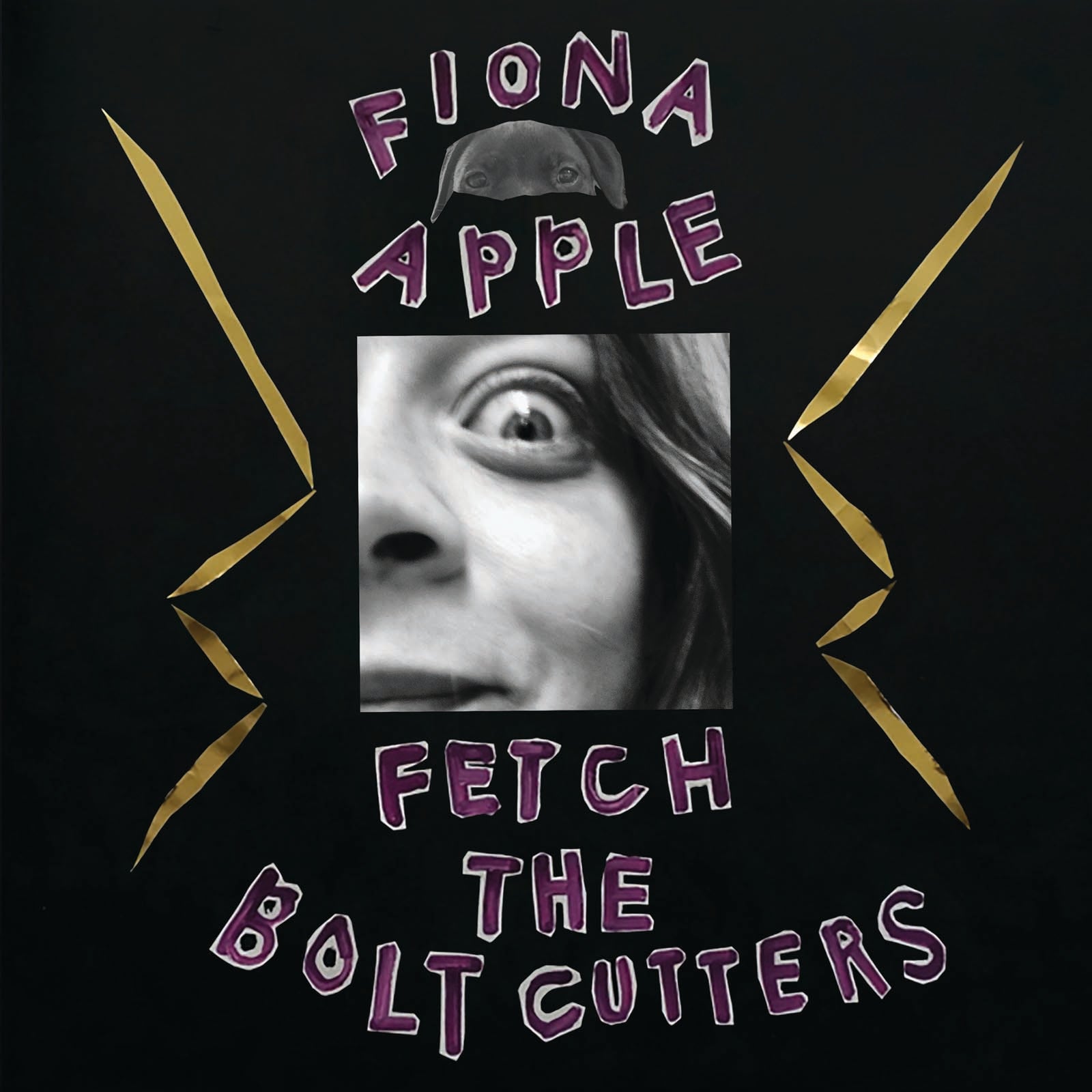 Image of Artwork for Fiona Apple's Fetch The Bolt Cutters (CD)